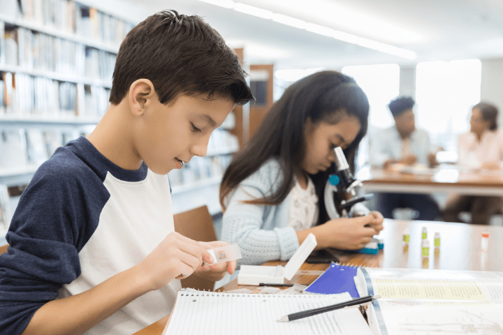 Illustration for 7th grade at Radiant High School